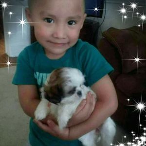 Meet your Posher, Benn